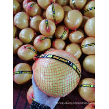 Gap Fresh Pomelo with Cheapest Price From China High Quality Brc Healthy